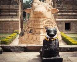 The temple is famous for several bronze sculptures alongside artwork on its walls.